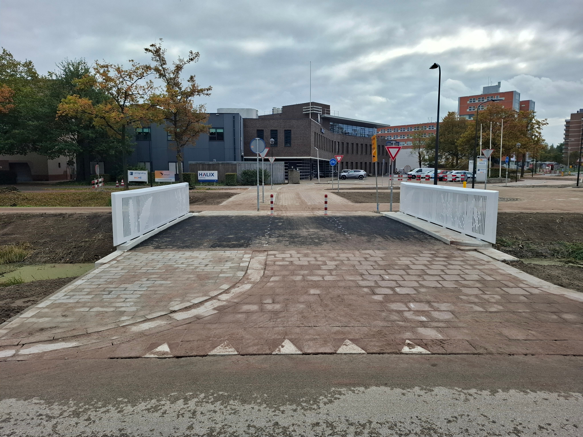 De afgeronde Rietorchisbrug in Leiden
